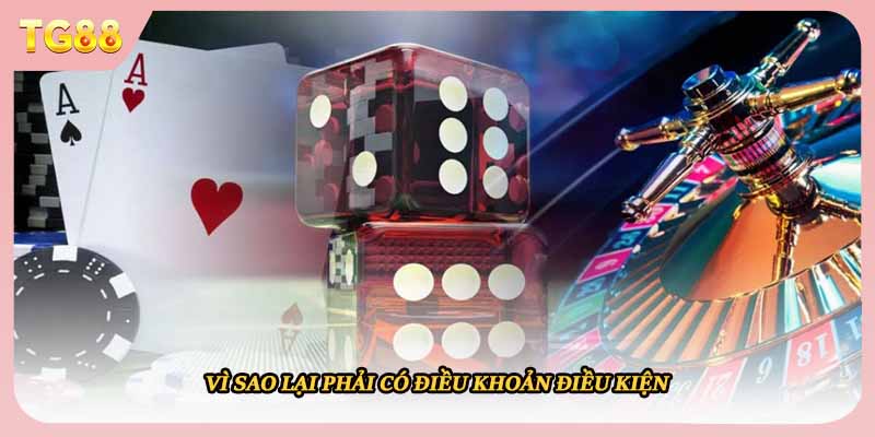 Vì sao lại phải có điều khoản điều kiện 